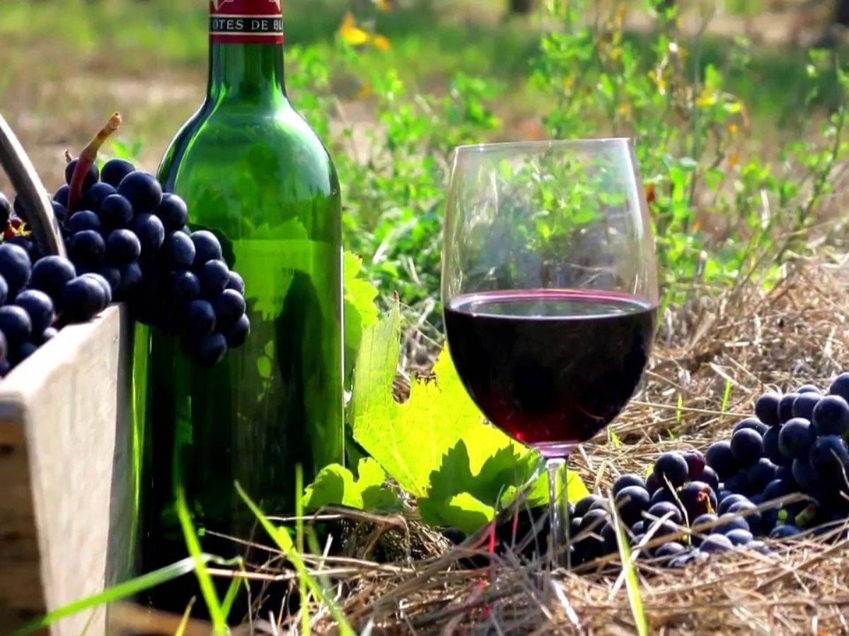 Вино из винограда лидия