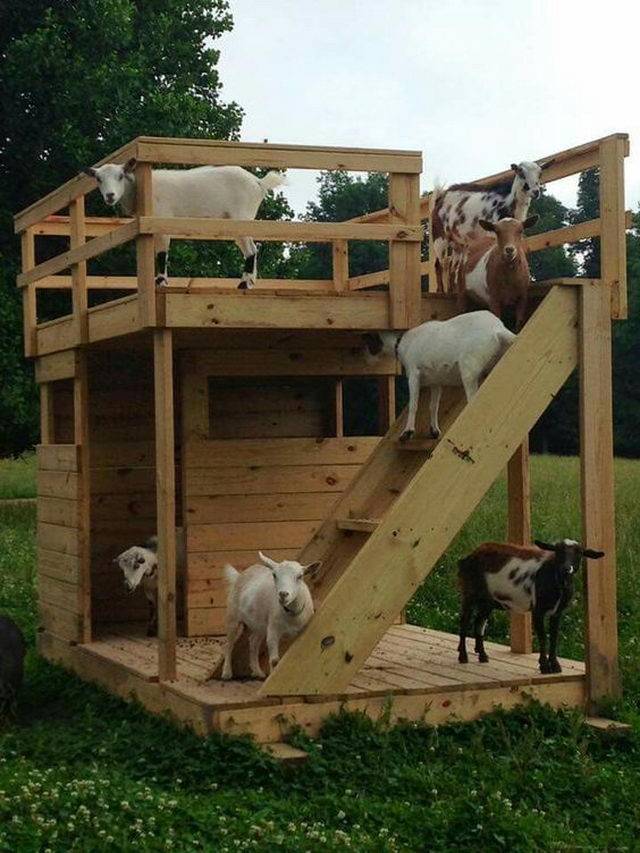Строим сарай для коз