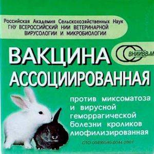 Особенности вакцинация кроликов