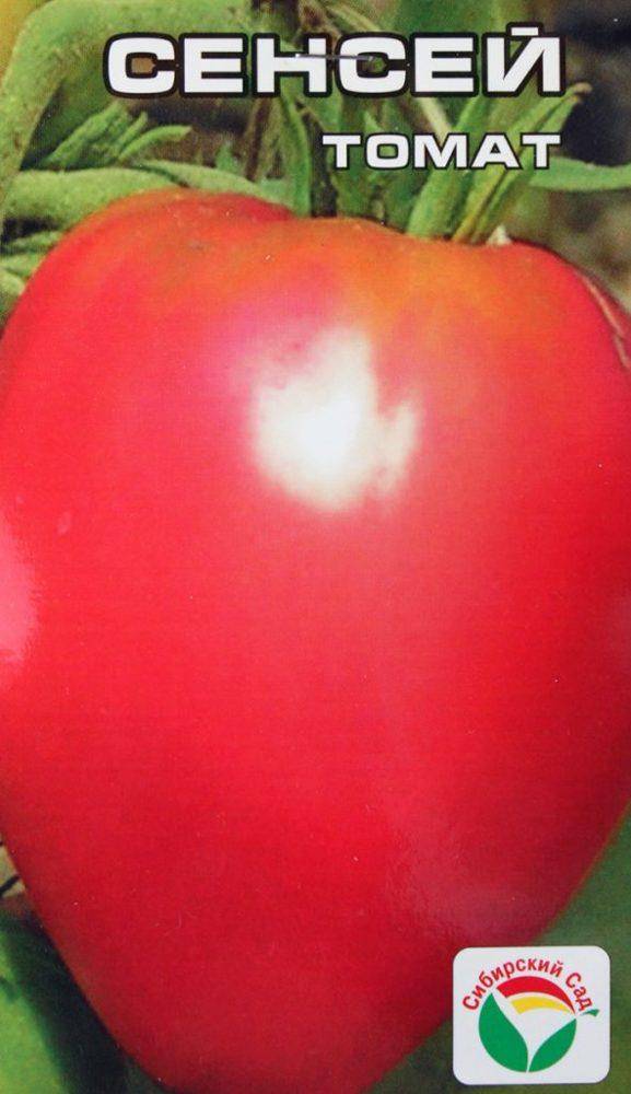 Сортовые особенности томата сенсей