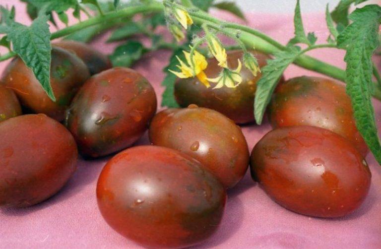 Розовые райские томаты — японский сорт пинк парадайз