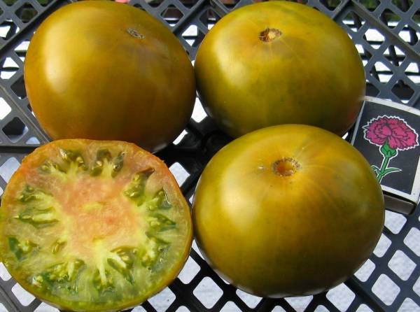 Описание сорта помидора Чили Верде, особенности выращивания и ухода