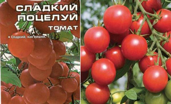 Характеристика и описание сорта томата Сладкое чудо, его урожайность