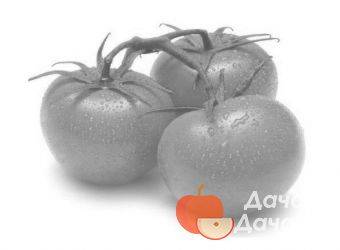 Томат грейпфрут — описание и характеристика сорта