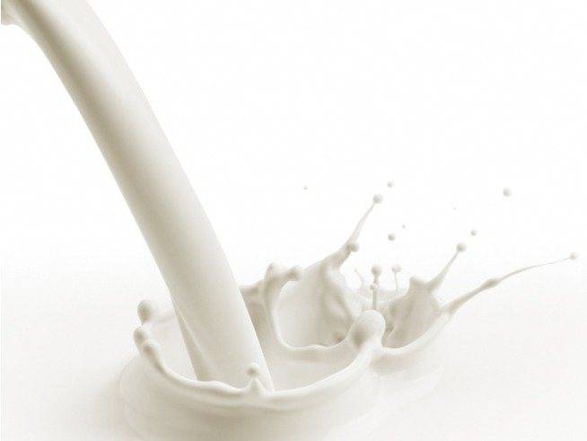 Как развести сухое молоко: пропорции, особенности приготовления, рецептура. состав и область применения