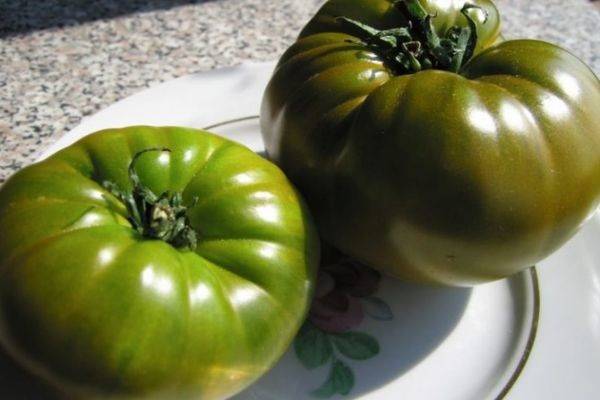 Выращивание томата чудо лентяя