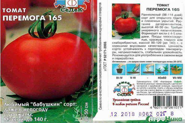 Отличный салатный сорт томатов «премьер»: описание, характеристики, особенности выращивания