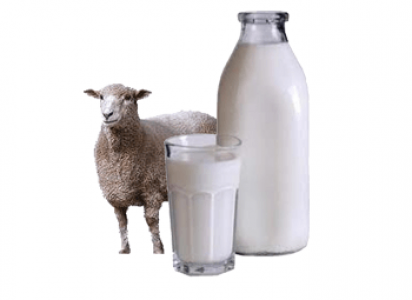 Какая польза у миндального молока и есть ли у него вред? состав, применение и приготовление продукта