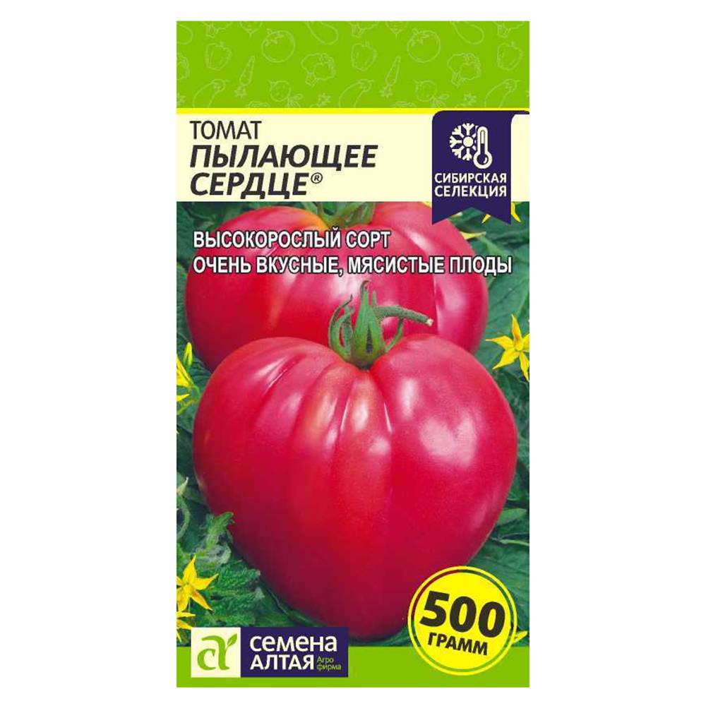 Выбор опытных садоводов — томат «розовое сердце» : описание сорта, достоинства и недостатки, советы по выращиванию