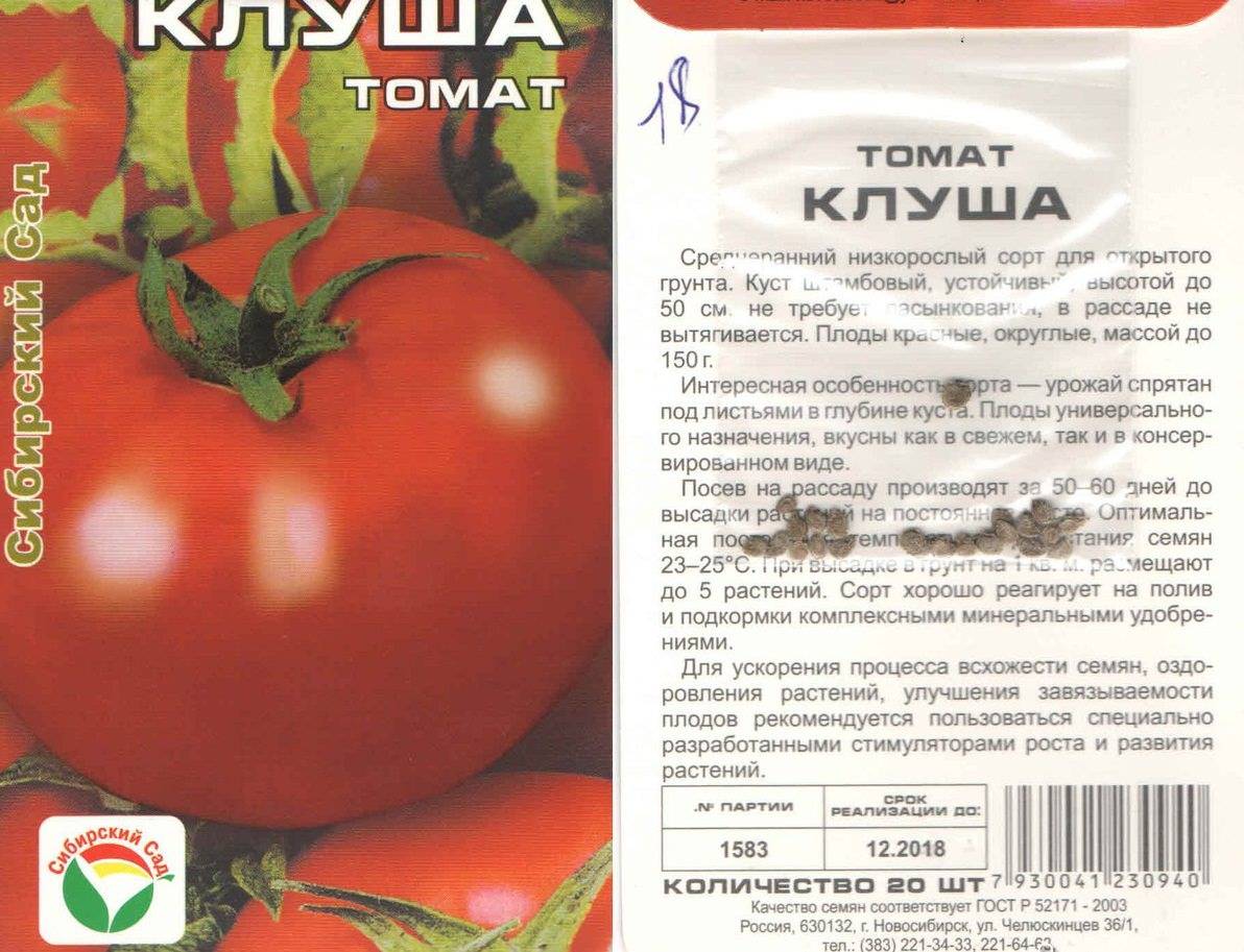 Описание томата клуша и особенности его выращивания