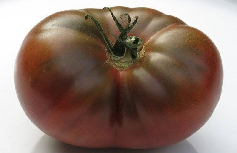 Томат поль робсон: характеристика и описание сорта, отзывы об урожайности куста, фото помидоров