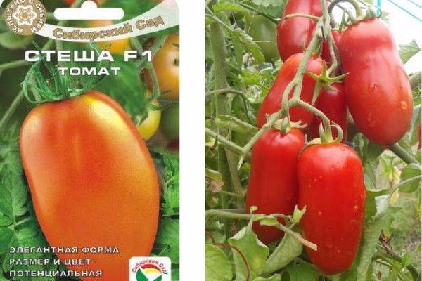 Серия сладких томатов «сластена»: описание сортов