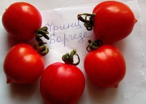 Описание сорта томата Принц Боргезе, особенности выращивания и урожайность