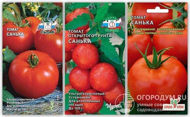 Описание раннеспелого томат Эфемер и характеристики сорта