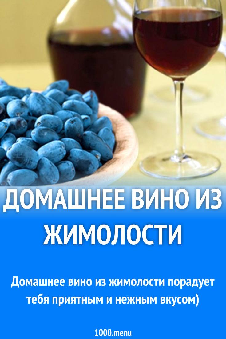 Простые рецепты приготовления вина, настойки, наливки из жимолости в домашних условиях