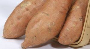 Сладкий картофель (батат) — польза и вред. как правильно готовить?