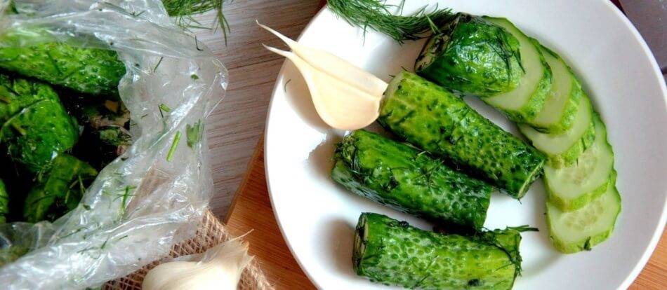 Малосольные огурцы в пакете с чесноком и зеленью – быстрые рецепты за 5 минут