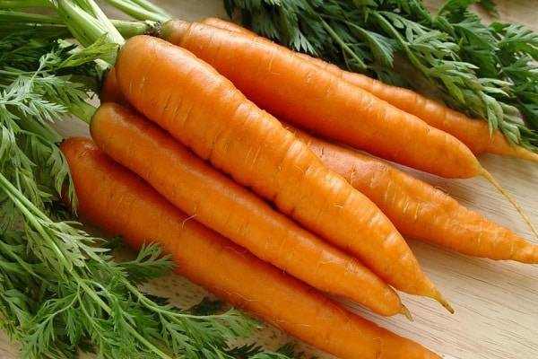 Чем хороша морковь шантене