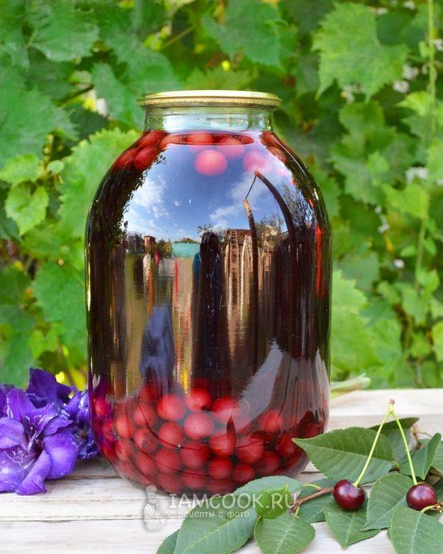Компот из вишни на зиму: 7 рецептов вишневого компота на 3 литровую банку