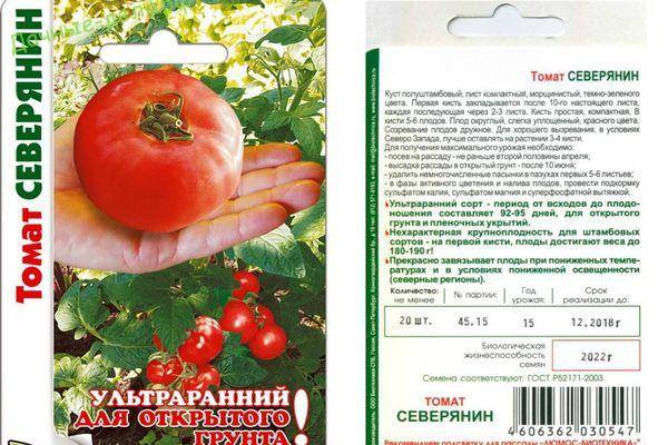 Описание сорта томата розовый титан и его характеристики