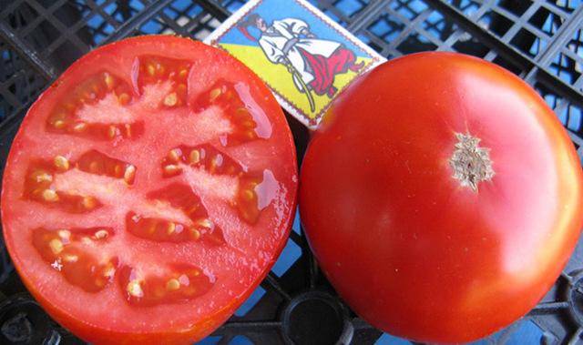 Карликовые сорта томатов не требующие пасынкования