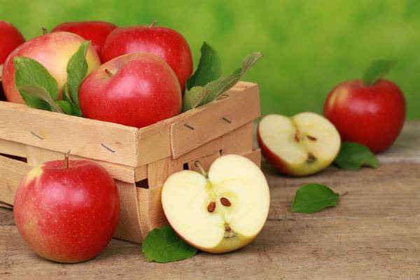 Хранение яблок в домашних условиях на зиму
