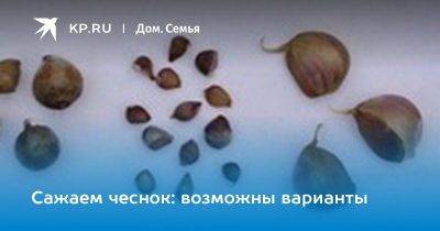 Выращивание чеснока из посадочных бульбочек