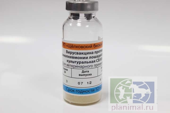 Вакцина для лошадей против гриппа и ринопневмонии