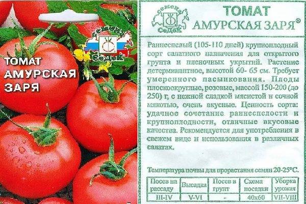 Вкусный сорт с длительной урожайностью — томат алей: советы садоводов по посадке и уходу