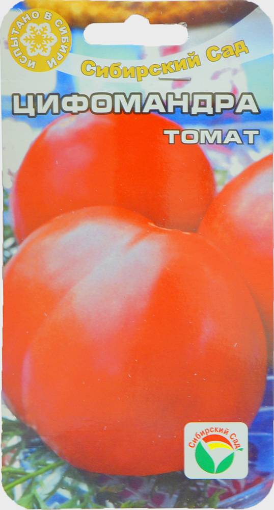 Томат томатное дерево — описание сорта, фото, урожайность и отзывы садоводов
