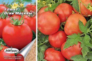 Описание сорта томата весна f1, рекомендации по выращиванию и уходу