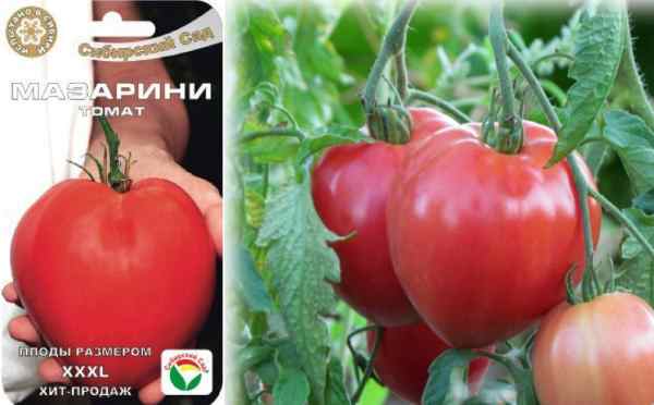 Гибрид томата «северенок f1»: фото, видео, отзывы, описание, характеристика, урожайность