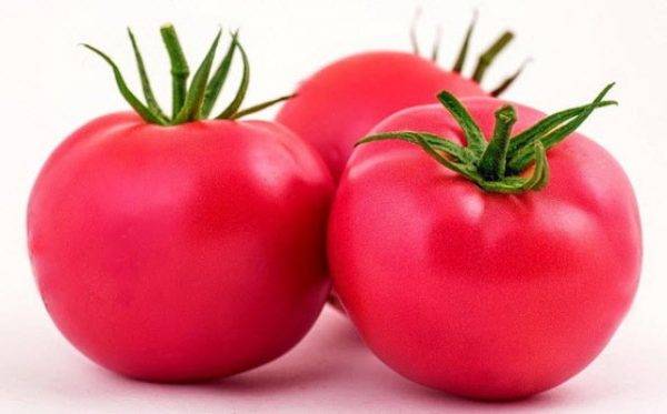 Описание сорта томата суперэкзотик, его характеристика и урожайность