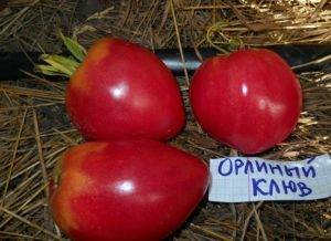 Сорт томата «купола россии»: фото, отзывы, описание, характеристика, урожайность