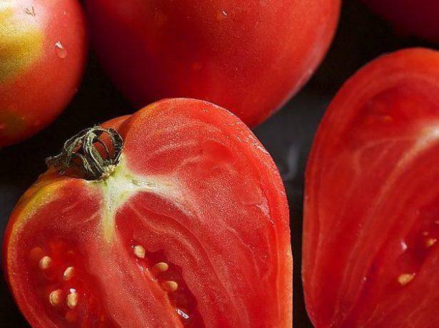 Ленивый способ выращивания помидор и лучшие сорта для этого
