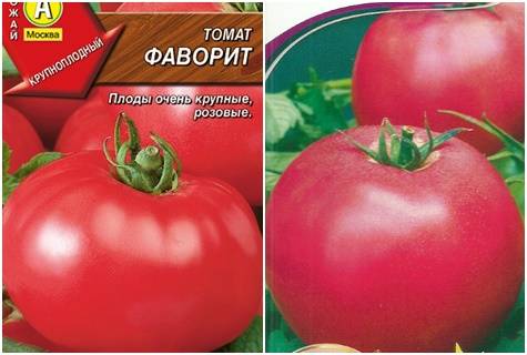 Фото, видео, отзывы, описание, характеристика, урожайность гибрида томата «фаворит f1»