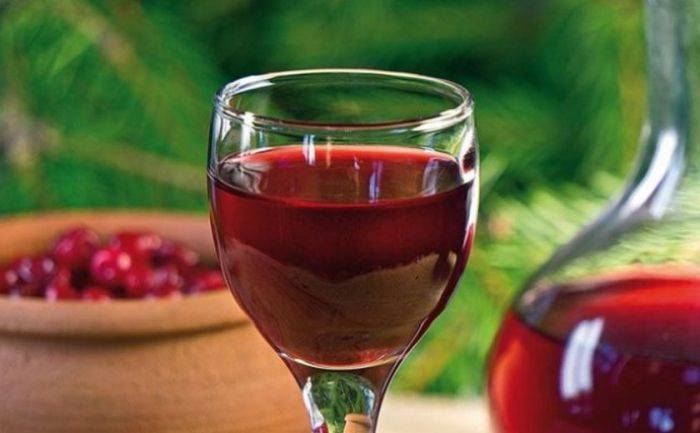 6 простых рецептов приготовления вина из ревеня в домашних условиях