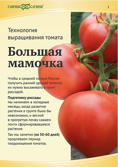 Новый сорт, успевший покорить сердца дачников — томат «большая мамочка» и секреты выращивания крупных плодов