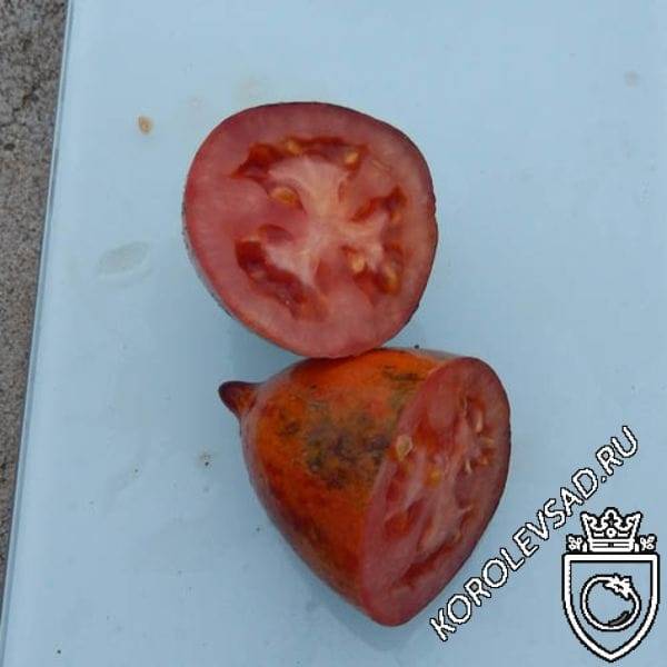Характеристика и описание сортов томатов серии гном томатный, его урожайность