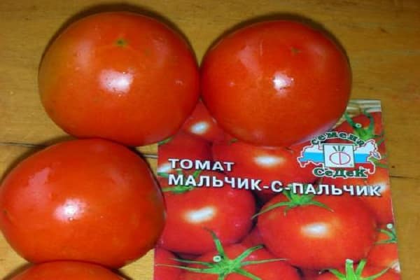Что нужно знать о выращивании томата монгольский карлик?