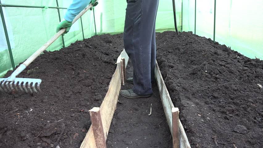 Как подготовить почву в теплице под помидоры весной