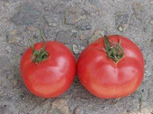 Розовый томат торбей f1 — фото, характеристика, описание и особенности выращивания сорта