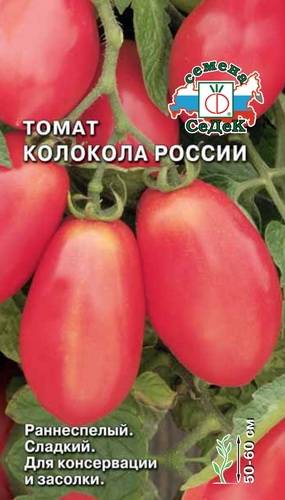 Описание и характеристики сорта томата Колокола России