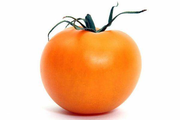 Описание сорта томата Премьер, особенности выращивания и ухода