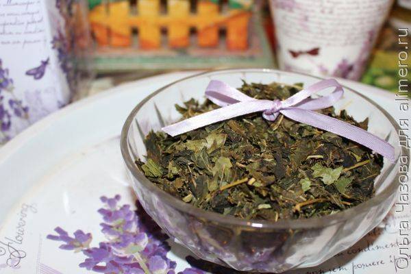 Хранение листьев смородины для чая и не только
