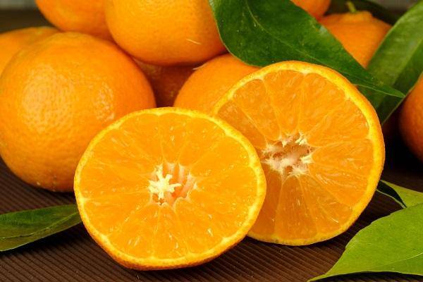 Польза и вред апельсинов для здоровья: мужского и женского