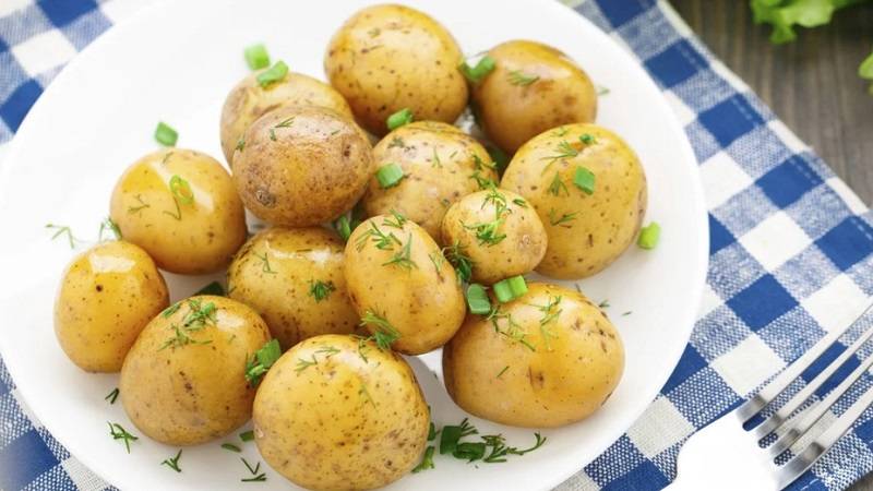 Картофель — польза и вред для здоровья человека