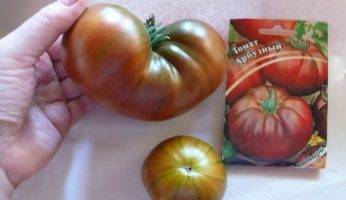 Томат синий: описание и характеристика, сорта синих помидоров