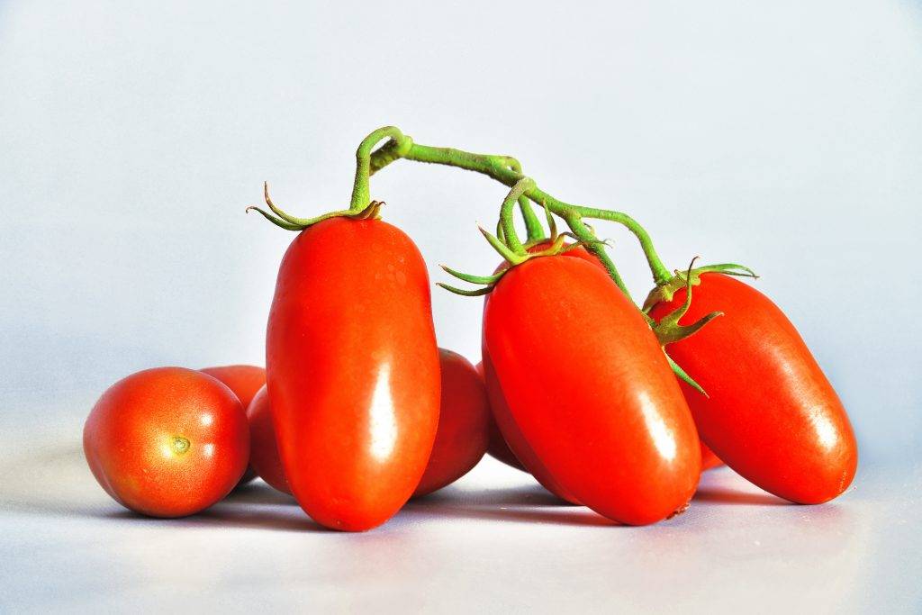 Характеристика и описание сорта томата Сибирская тройка, урожайность
