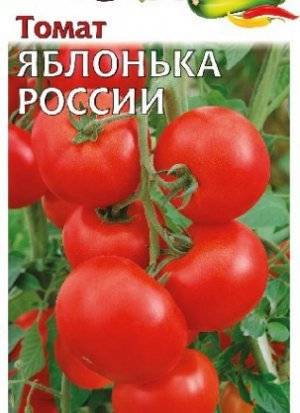 Томаты «яблонька россии»: как, не напрягаясь, снять сотню помидоров с куста